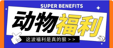 销售活动 丨 实验动物85折出售