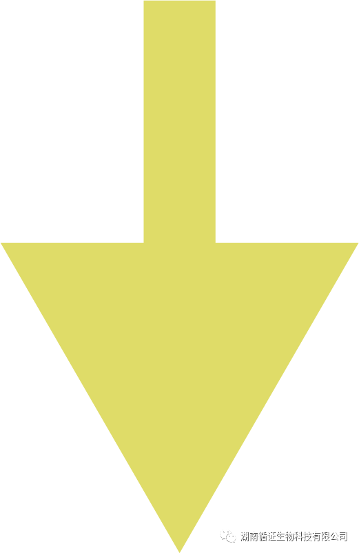 8.png